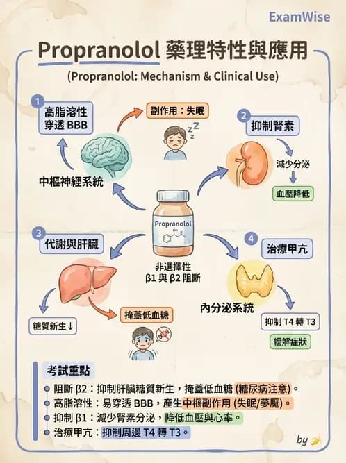 護理師 - 抗高血壓與血管藥物 - AI 圖文解析預覽