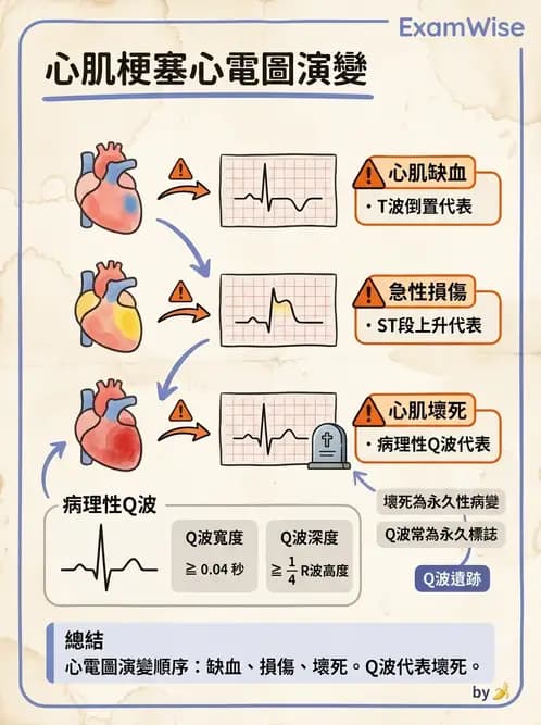 醫檢師 - 心肌病變與特殊心電圖 - AI 圖文解析預覽