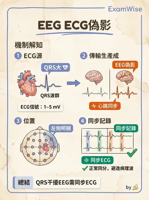 醫檢師 - 腦電圖檢查 - AI 圖文解析預覽