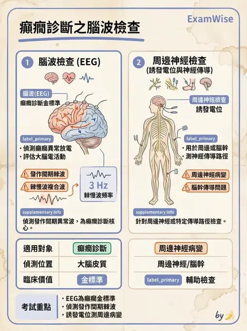 醫檢師 - 腦電圖檢查 - AI 圖文解析預覽