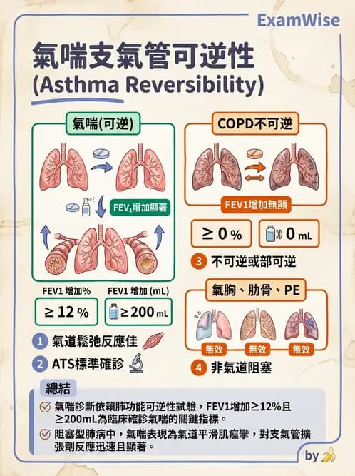 醫檢師 - 肺功能判讀與氣體交換 - AI 圖文解析預覽
