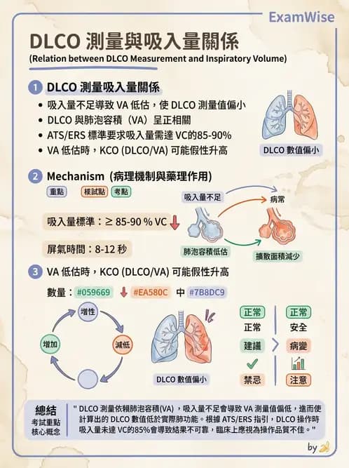 醫檢師 - 肺功能判讀與氣體交換 - AI 圖文解析預覽