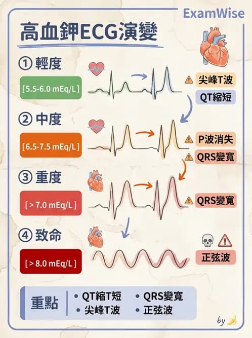 醫檢師 - 心肌病變與特殊心電圖 - AI 圖文解析預覽