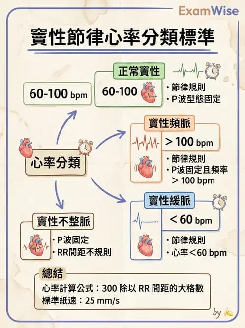 醫檢師 - 心律不整判讀 - AI 圖文解析預覽