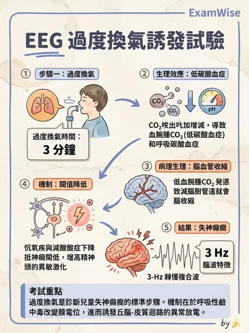 醫檢師 - 腦電圖檢查 - AI 圖文解析預覽