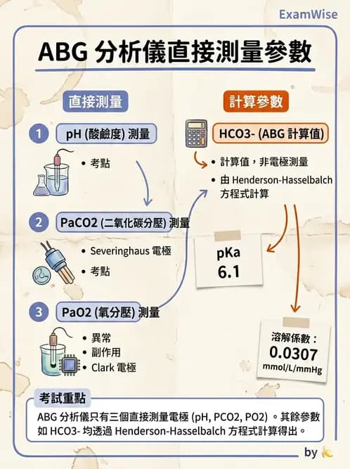 醫檢師 - 血液氣體分析 - AI 圖文解析預覽