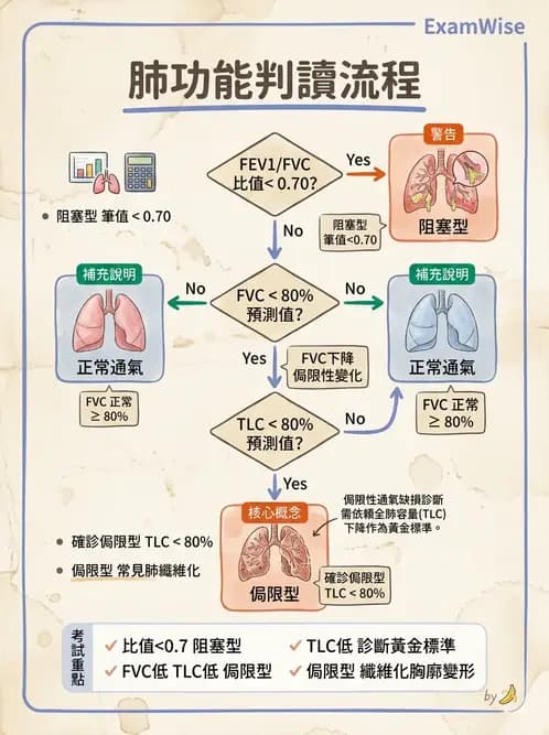 醫檢師 - 肺功能判讀與氣體交換 - AI 圖文解析預覽