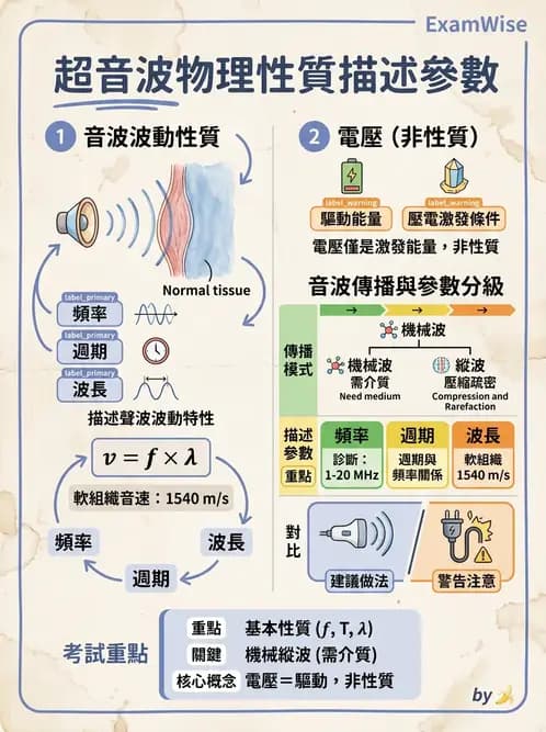 醫檢師 - 超音波檢查 - AI 圖文解析預覽