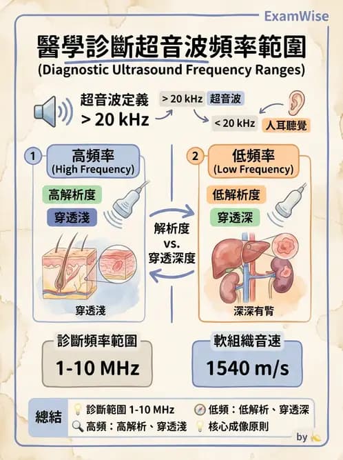 醫檢師 - 超音波檢查 - AI 圖文解析預覽