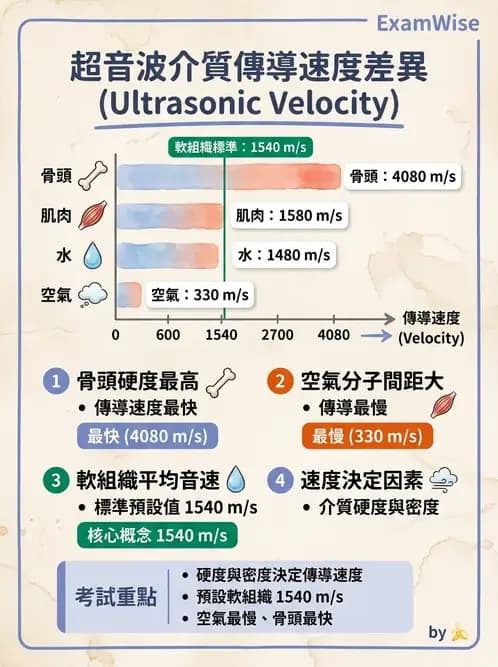 醫檢師 - 超音波檢查 - AI 圖文解析預覽