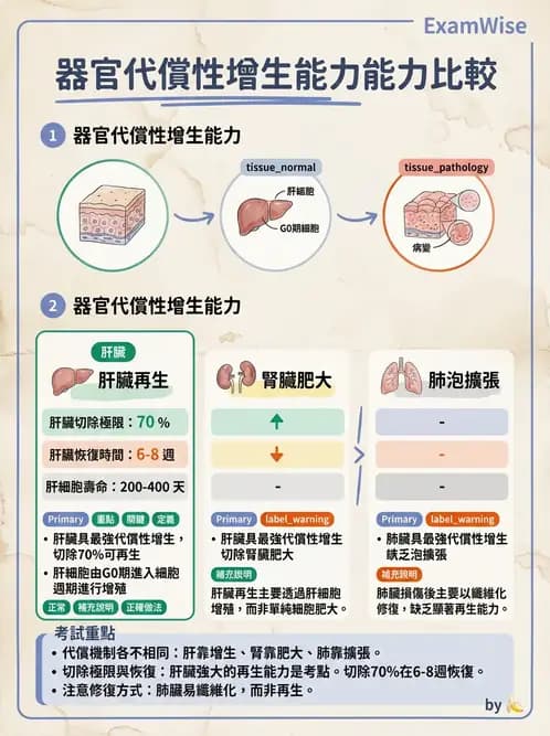 醫檢師 - 細胞傷害、發炎與修復 - AI 圖文解析預覽
