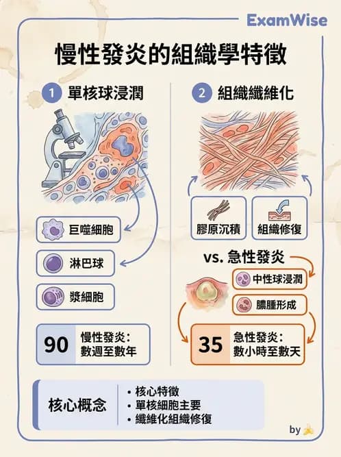醫檢師 - 細胞傷害、發炎與修復 - AI 圖文解析預覽