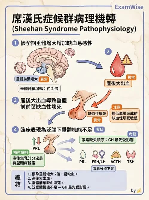 醫檢師 - 內分泌疾病 - AI 圖文解析預覽