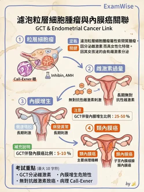 醫檢師 - 乳房及女性生殖疾病 - AI 圖文解析預覽