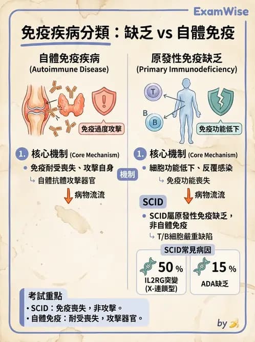 醫檢師 - 免疫疾病 - AI 圖文解析預覽