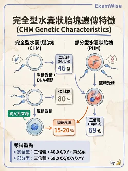 醫檢師 - 乳房及女性生殖疾病 - AI 圖文解析預覽