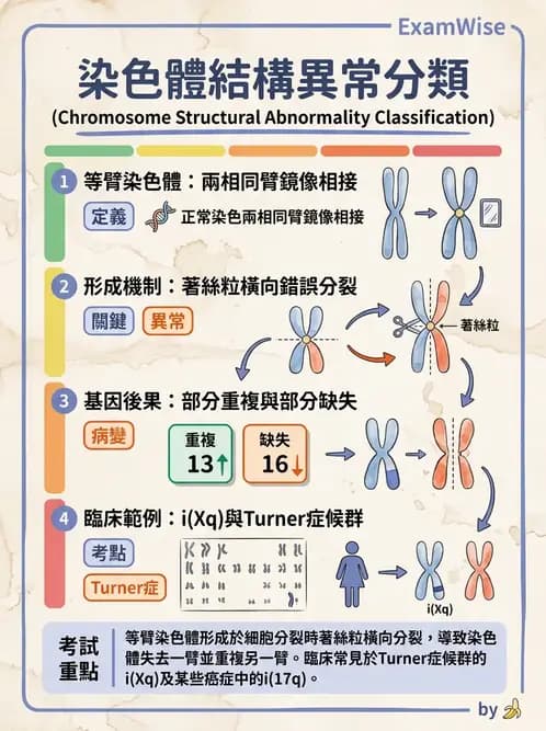 醫檢師 - 遺傳和發育疾病 - AI 圖文解析預覽