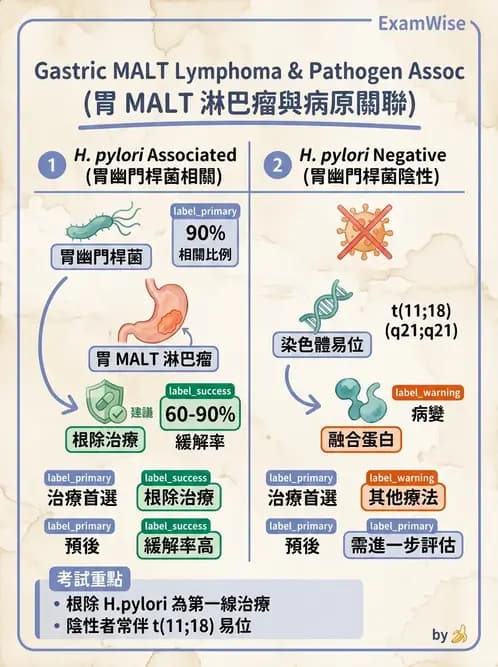 醫檢師 - 消化肝膽疾病 - AI 圖文解析預覽