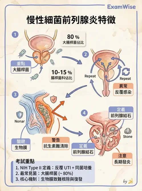 醫檢師 - 腎臟泌尿及男性生殖疾病 - AI 圖文解析預覽