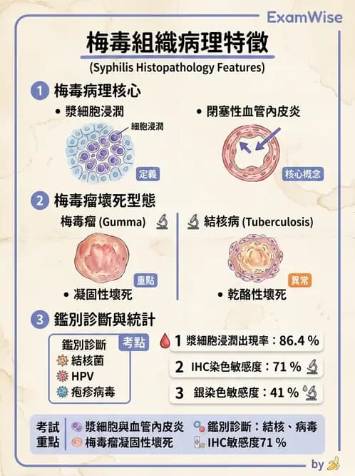 醫檢師 - 感染 - AI 圖文解析預覽