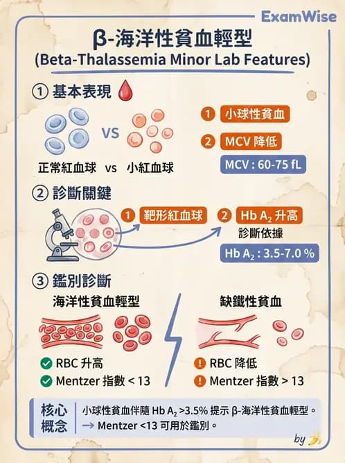 醫檢師 - 溶血性貧血與血色素病變 - AI 圖文解析預覽