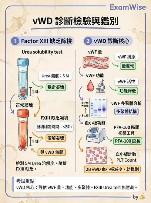 醫檢師 - 出血性疾病與檢驗 - AI 圖文解析預覽