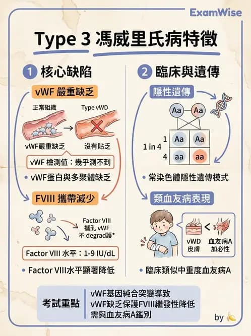 醫檢師 - 出血性疾病與檢驗 - AI 圖文解析預覽