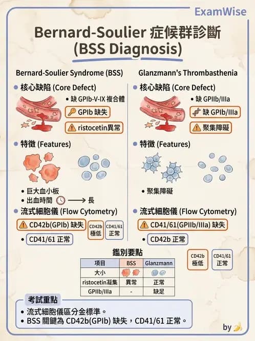 醫檢師 - 出血性疾病與檢驗 - AI 圖文解析預覽