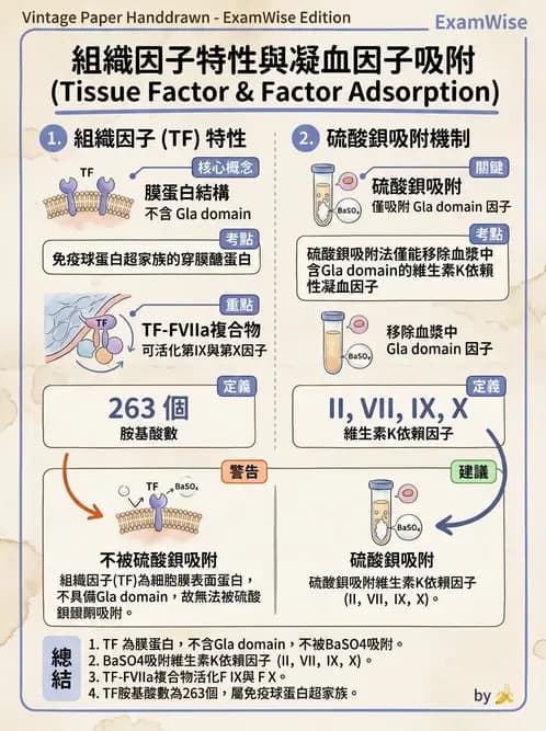 醫檢師 - 凝血因子與凝血檢驗 - AI 圖文解析預覽