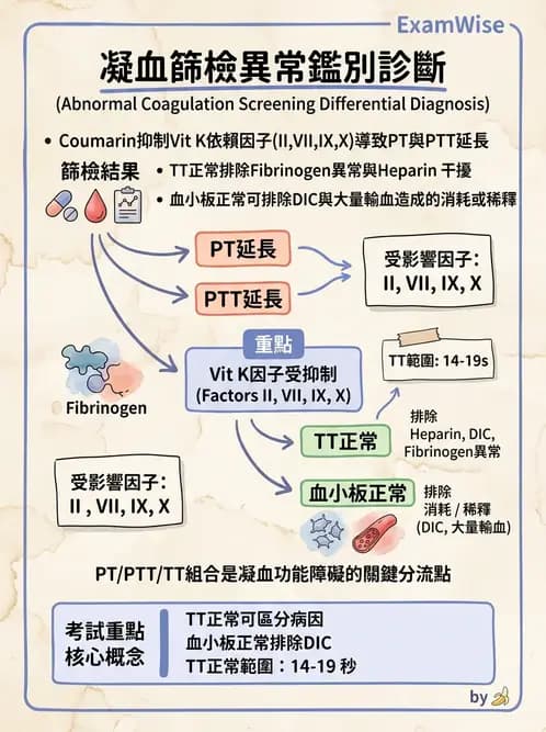 醫檢師 - 血栓性疾病與抗凝治療監測 - AI 圖文解析預覽