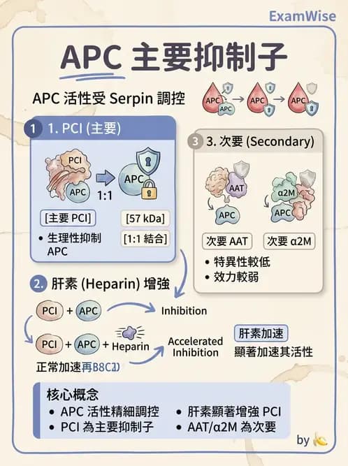 醫檢師 - 血栓性疾病與抗凝治療監測 - AI 圖文解析預覽