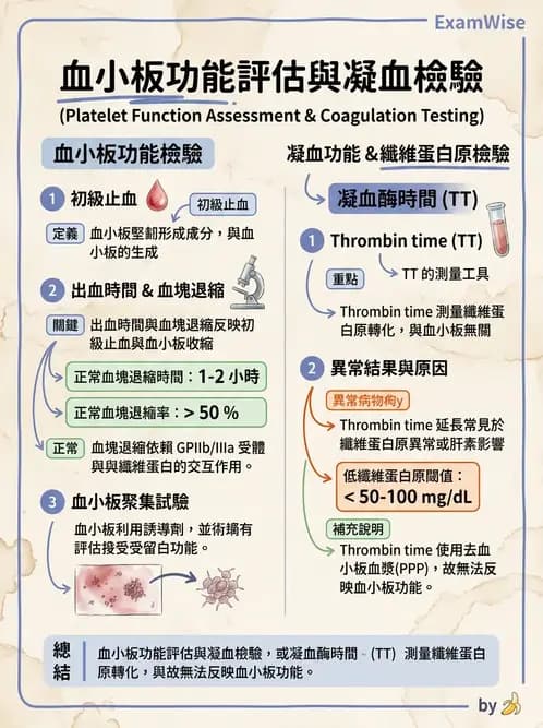 醫檢師 - 血小板與止血生理 - AI 圖文解析預覽