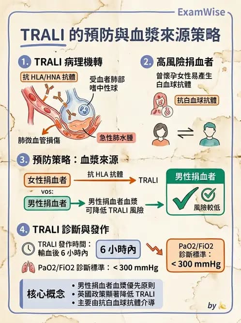 醫檢師 - 輸血反應與血庫品管 - AI 圖文解析預覽