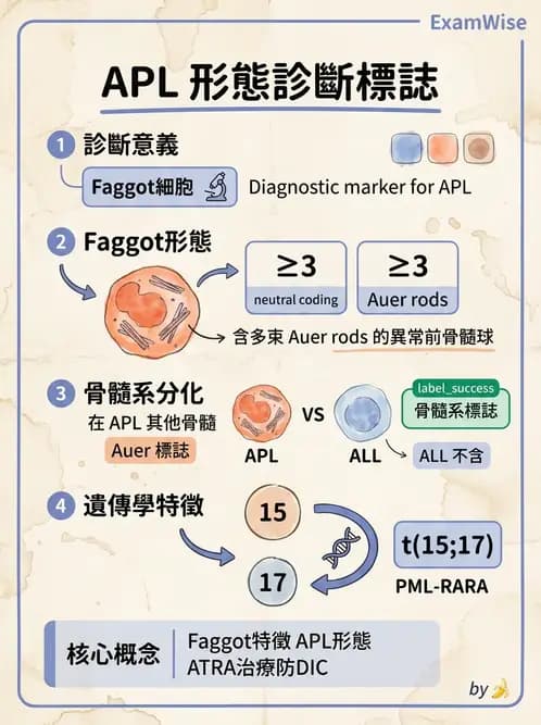 醫檢師 - 急性白血病 - AI 圖文解析預覽