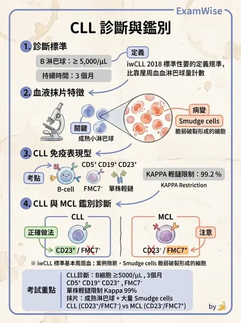 醫檢師 - 慢性血液腫瘤與骨髓增生疾患 - AI 圖文解析預覽