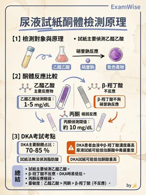 醫檢師 - 尿液化學檢驗 - AI 圖文解析預覽
