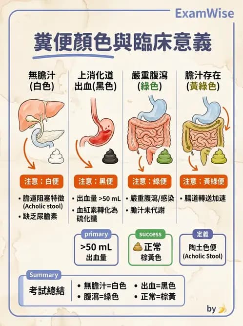 醫檢師 - 糞便常規檢查 - AI 圖文解析預覽