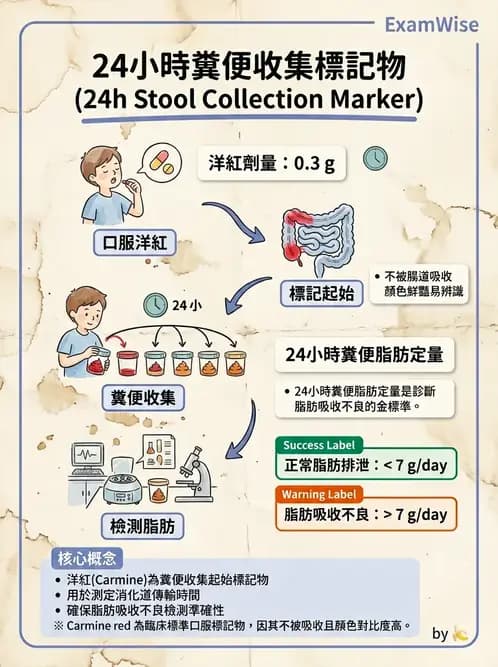 醫檢師 - 糞便常規檢查 - AI 圖文解析預覽