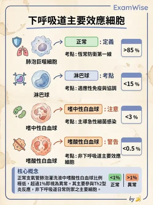 醫檢師 - 痰液一般鏡檢 - AI 圖文解析預覽