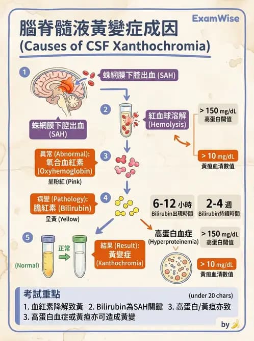 醫檢師 - 腦脊髓液檢查 - AI 圖文解析預覽