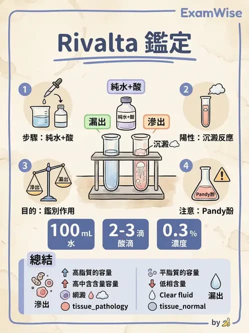 醫檢師 - 穿刺液檢查 - AI 圖文解析預覽