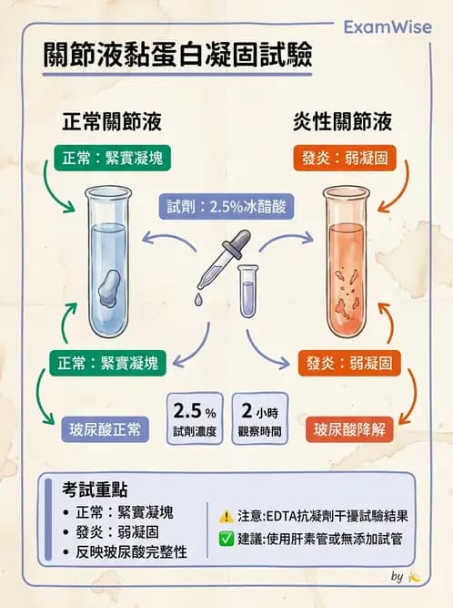 醫檢師 - 滑膜液檢查 - AI 圖文解析預覽