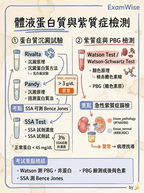 醫檢師 - 鏡檢綜合性試題 - AI 圖文解析預覽