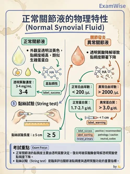 醫檢師 - 滑膜液檢查 - AI 圖文解析預覽