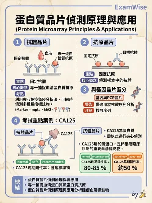 醫檢師 - 雜交探針與晶片技術 - AI 圖文解析預覽