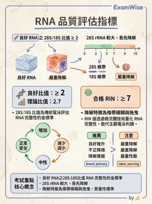 醫檢師 - 核酸擴增與萃取技術 - AI 圖文解析預覽