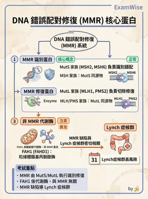 醫檢師 - 基礎分子生物學 - AI 圖文解析預覽