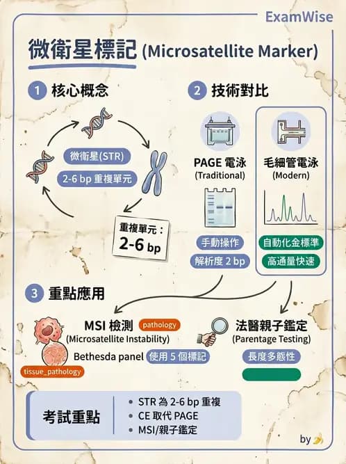 醫檢師 - 定序電泳與表觀分析 - AI 圖文解析預覽