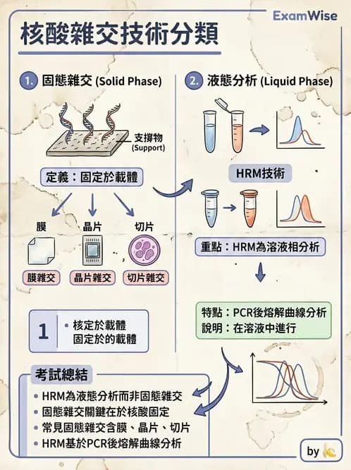 醫檢師 - 雜交探針與晶片技術 - AI 圖文解析預覽