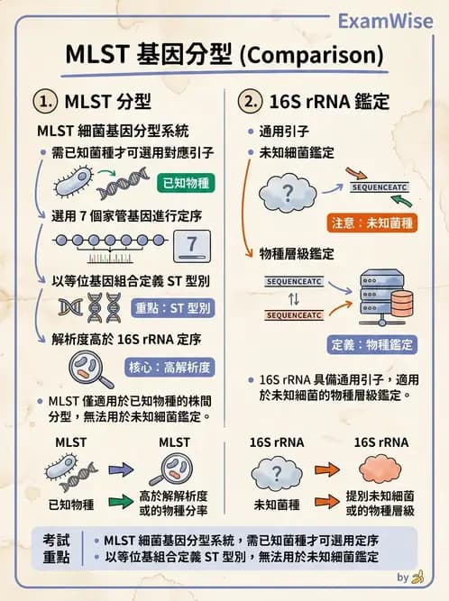 醫檢師 - 分子鑑定與應用技術 - AI 圖文解析預覽